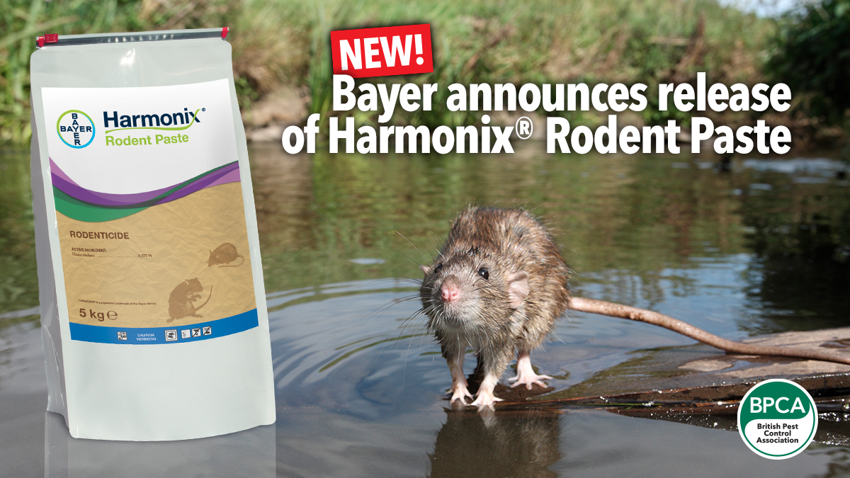 bayer-harmonix-rodent-paste-